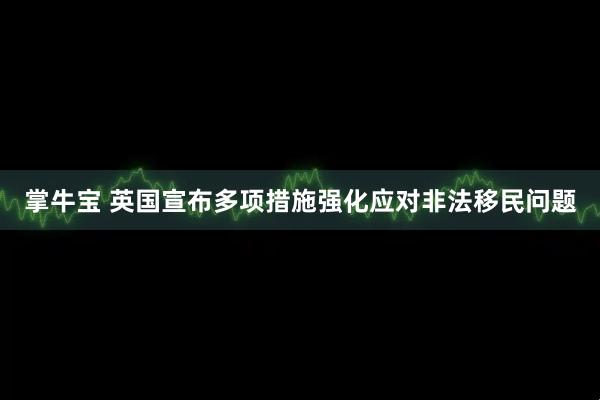 掌牛宝 英国宣布多项措施强化应对非法移民问题