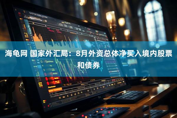海龟网 国家外汇局：8月外资总体净买入境内股票和债券