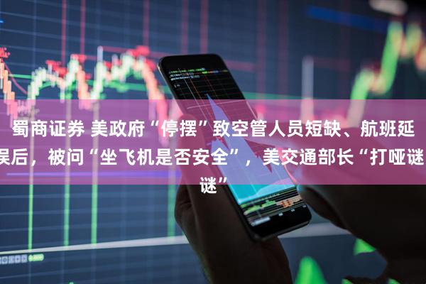 蜀商证券 美政府“停摆”致空管人员短缺、航班延误后，被问“坐飞机是否安全”，美交通部长“打哑谜”
