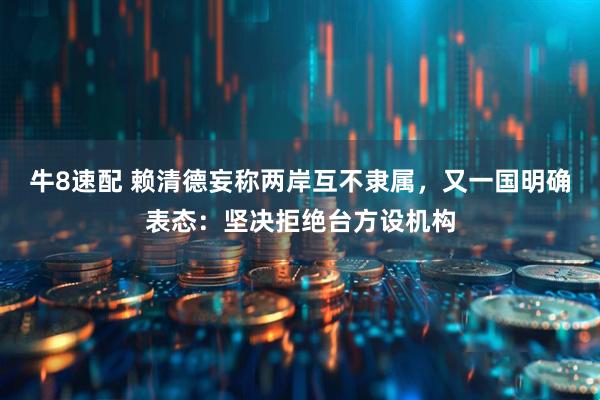 牛8速配 赖清德妄称两岸互不隶属，又一国明确表态：坚决拒绝台方设机构